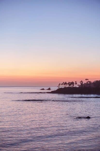 The calm sea and palm trees create a peaceful Laguna Beach scene at sunset, 2K Phone Wallpaper