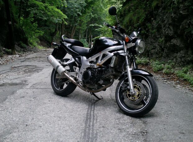 A Suzuki Sv650 is parked on a winding forest road surrounded by trees and rocks, 2K Desktop Wallpaper