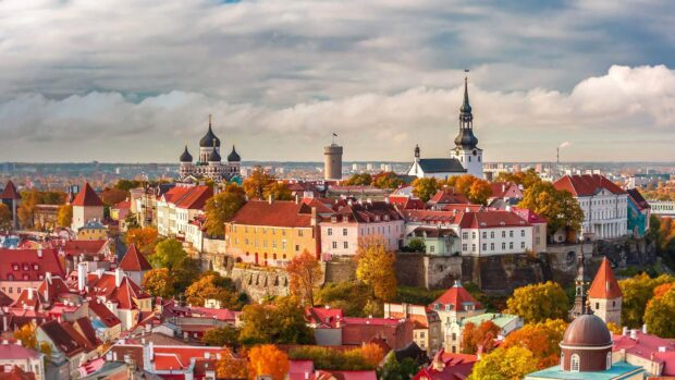 Tallinn cityscape shows autumn trees and historic buildings in Estonia Wallpapers, HD Desktop Wallpaper
