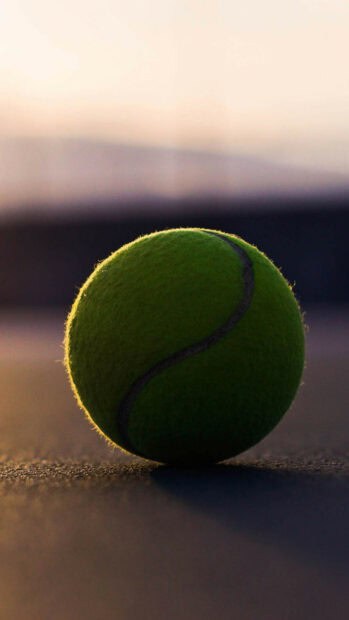A tennis ball resting on the court with soft sunlight in the background, HD Phone Wallpaper