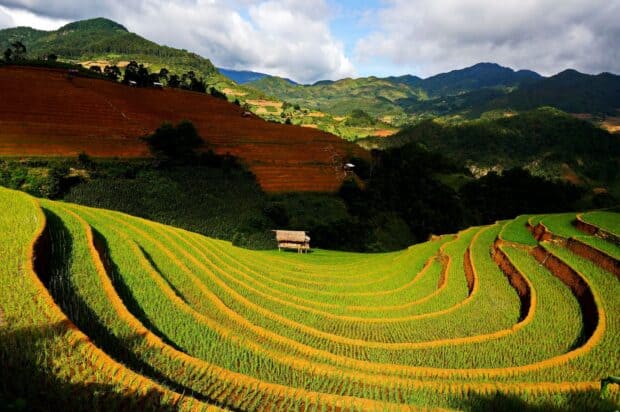 The Vietnam Wallpapers show lush green terraced rice fields under a cloudy sky with surrounding mountains, 2K Desktop Wallpaper
