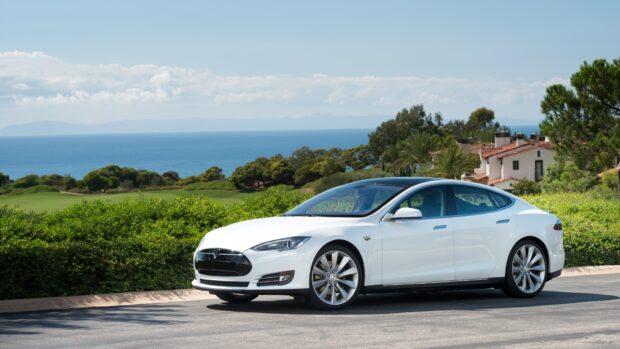 A white Tesla Model 3 is parked near greenery with the ocean in the background, 4K Desktop Wallpaper