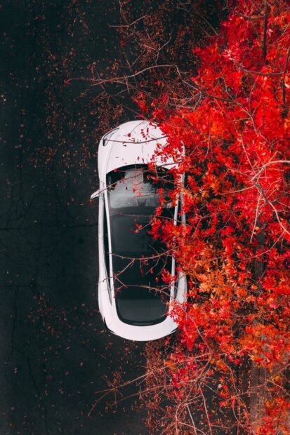 A white Tesla Model 3 is parked next to vibrant red autumn leaves viewed from above, HD Mobile Wallpaper
