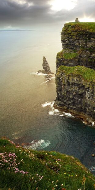 The Aran Islands feature dramatic cliffs and wildflowers along the coastline, HD Mobile Wallpaper