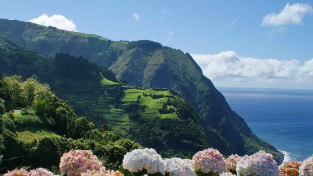 The Azores features lush green hills and vibrant flowers by the ocean, HD Desktop Wallpaper