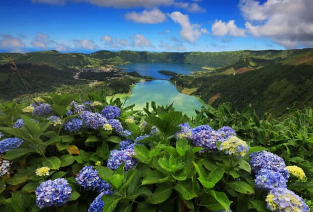 The Azores Wallpapers shows a lush landscape with blue flowers and a vibrant lake surrounded by hills, HD Desktop Wallpaper