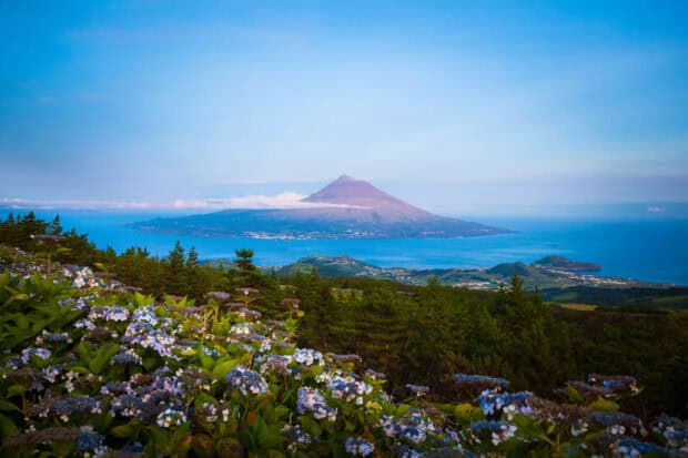 A volcanic island landscape in The Azores showcases blooming flowers and distant mountains, HD Desktop Wallpaper