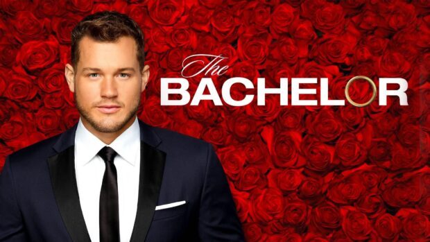 A man poses in front of red roses in The Bachelor Tv Series, HD Desktop Wallpaper