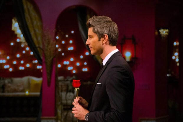 A man in a suit holding a red rose in a romantic setting from The Bachelor Tv Series, HD Desktop Wallpaper