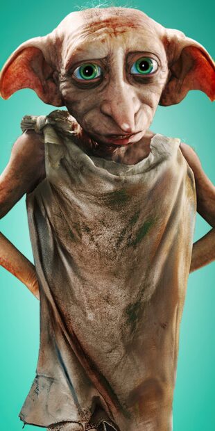The Chamber Of Secrets character Dobby is standing with a worn cloth, HD Phone Wallpaper
