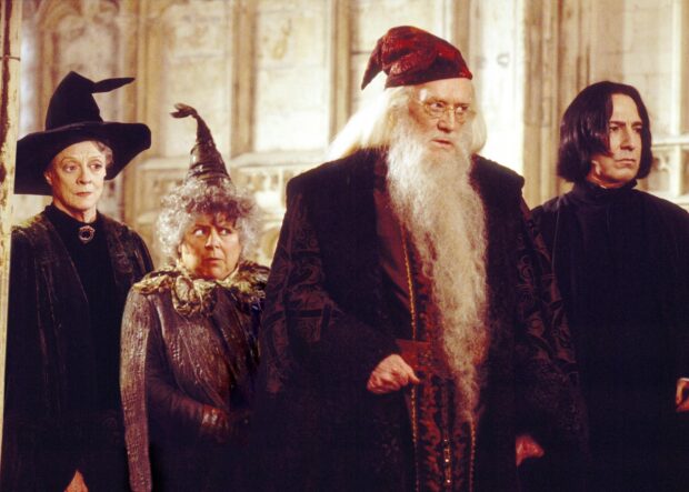 The Chamber Of Secrets features four characters standing inside a castle hall, The Chamber Of Secrets Wallpapers PC Wallpaper