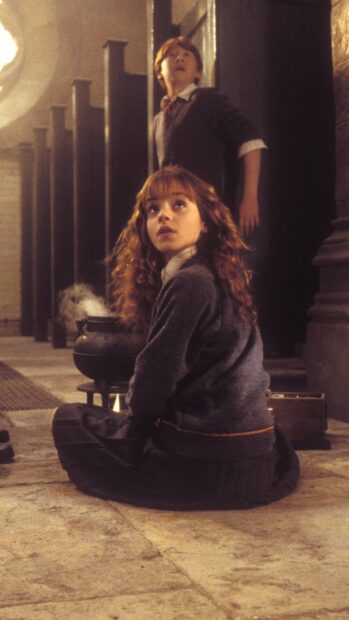 Hermione and Ron look surprised in the chamber setting, HD Android Wallpaper