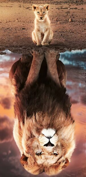 A lion cub looks at its reflection showing a majestic lion in the water, 2K Phone Wallpaper