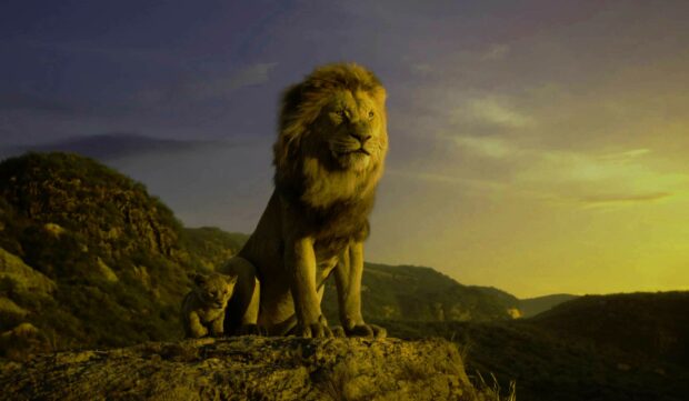 A lion and cub stand on a rock with mountains and sunset behind them, 2K Desktop Wallpaper