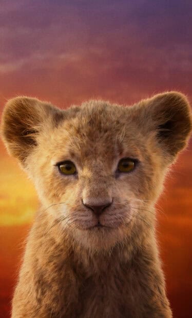 A young lion cub is shown with a colorful sunset sky in the background featuring The Lion King Wallpapers, HD Phone Wallpaper