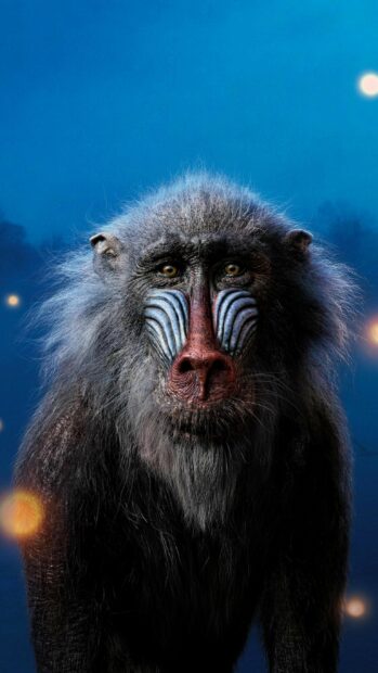 A detailed portrait of a baboon from The Lion King wallpapers in the moonlight, 2K Phone Wallpaper
