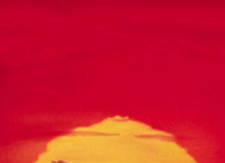 Simba and friends gather on Pride Rock at sunset, 2K Mobile Wallpaper