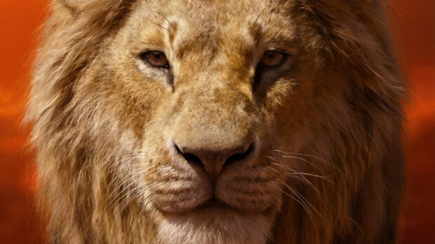 A close up of a lion from The Lion King with an intense gaze, 2K Desktop Wallpaper