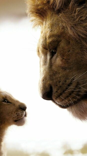 The Lion King Wallpapers showing a tender face to face interaction between a lion and its cub, 2K Mobile Wallpaper