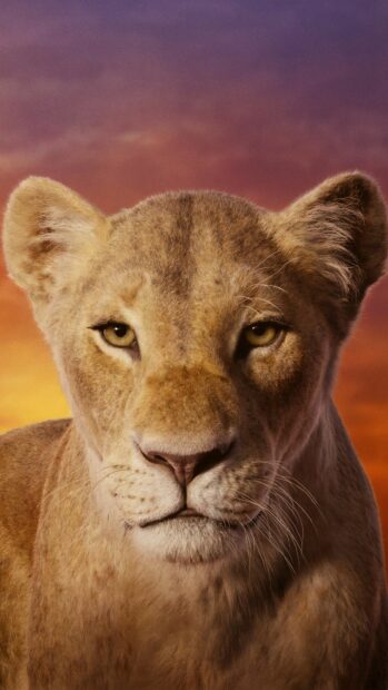 A close up of a lioness from The Lion King with a sunset sky in the background, 4K Mobile Wallpaper