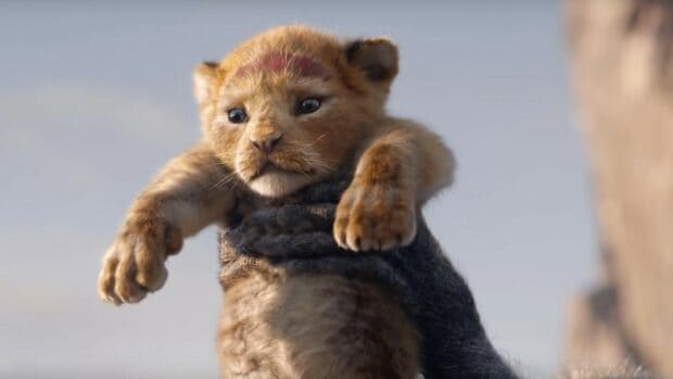 A close up of the Lion King cub being held during the presentation scene, 2K Desktop Wallpaper