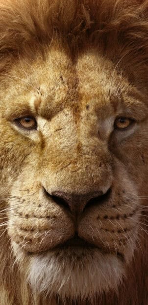 A close up shot of a lion's face showcasing detailed fur and intense eyes inspired by The Lion King, 2K Mobile Wallpaper