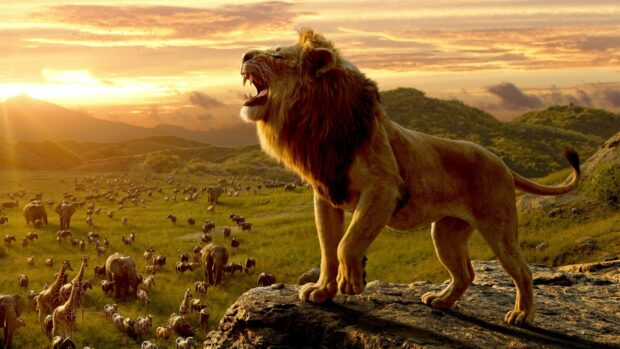 A lion roars loudly while overlooking a vast savannah filled with animals during sunset, HD Desktop Wallpaper