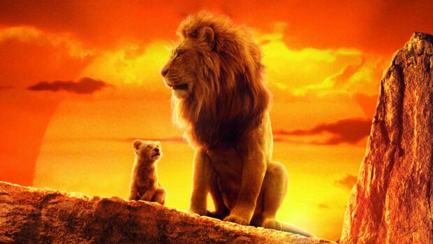 A lion and its cub are sitting on a rocky ledge during a glowing orange sunset in The Lion King Wallpapers, 4K Desktop Wallpaper