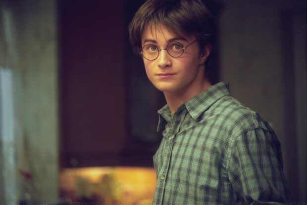 A young wizard with glasses standing indoors in a green plaid shirt from The Prisoner Of Azkaban, HD Desktop Wallpaper