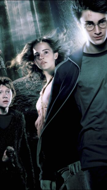 Harry Potter and friends face danger in a dark forest, 2K Phone Wallpaper