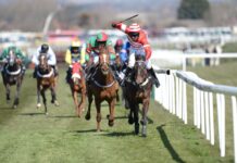 Jockeys riding horses racing on the grass in a horse racing event during daytime, HD Desktop Wallpaper
