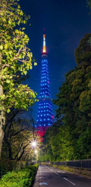 The Tokyo Tower stands brightly illuminated surrounded by trees along a quiet street at night, 2K Mobile Wallpaper