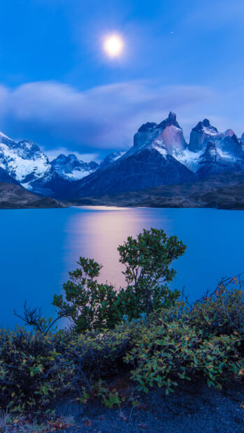 The moonlight reflects on the lake near Torres Del Paine mountains and vegetation, 4K Phone Wallpaper