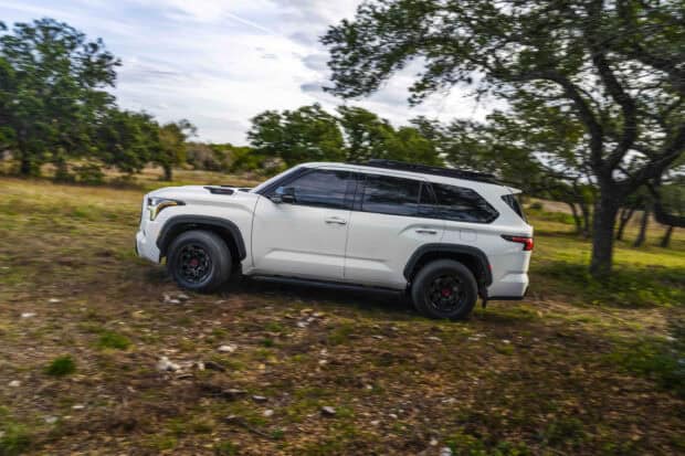 A white Toyota Sequoia driving off road among trees and grass, 2K Desktop Wallpaper