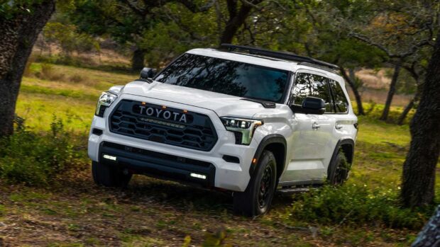 A white Toyota Sequoia is driving through a forest trail surrounded by trees, HD Desktop Wallpaper