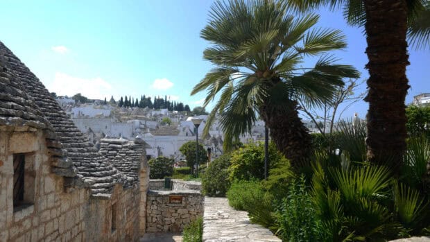 The peaceful scene of traditional stone houses and palm trees in Alberobello Wallpapers, HD Desktop Wallpaper