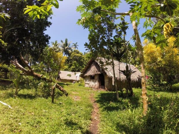 A traditional hut stands among lush greenery on Espiritu Santo island in Vanuatu, HD Desktop Wallpaper
