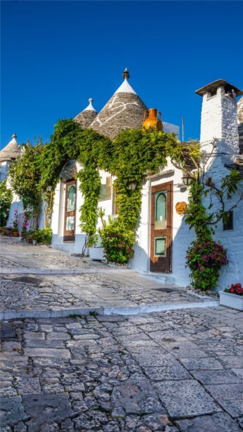 The stone paved street leads to traditional trulli houses covered with vibrant green vines and flowers in Alberobello Wallpapers, HD Phone Wallpaper
