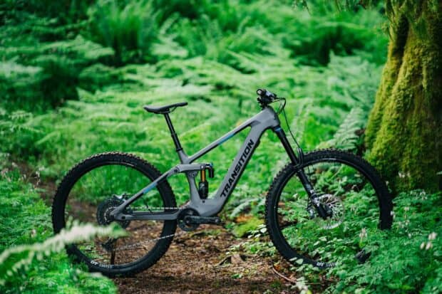 A Transition bike stands on a forest trail surrounded by green ferns and trees, 2K Desktop Wallpaper