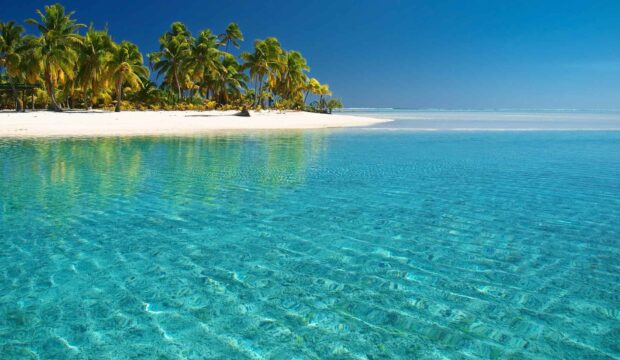 A stunning view of Palawan featuring clear blue water and palm trees, HD Desktop Wallpaper