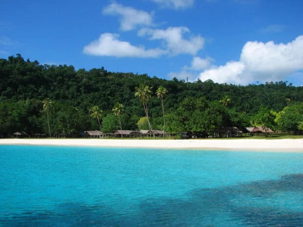 The turquoise water and palm trees on Espiritu Santo Vanuatu create a stunning scene, HD Desktop Wallpaper