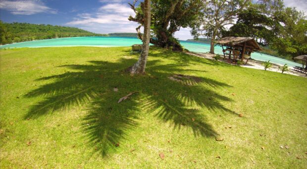 The lush green grass and palm tree shade highlight Espiritu Santo Vanuatu, 2K Desktop Wallpaper