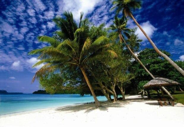 A tropical beach with palm trees and clear blue water on Espiritu Santo Vanuatu, 2K Desktop Wallpaper