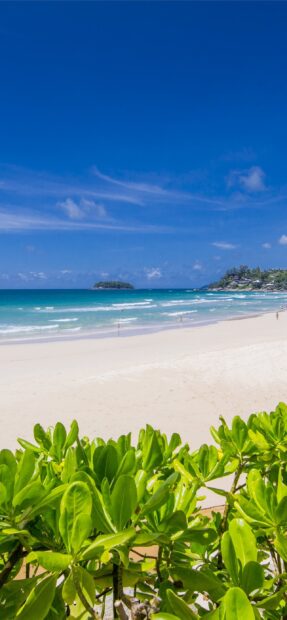 A tropical beach with clear blue sky and green plants in Phuket Wallpapers, 2K Phone Wallpaper