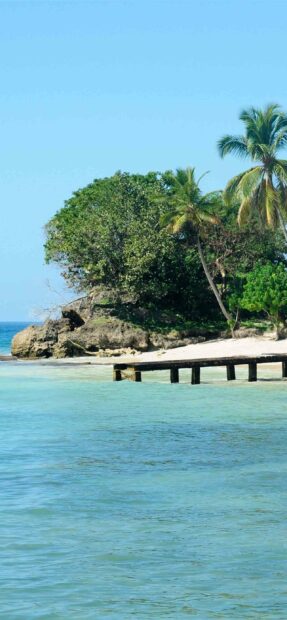 A tropical island shore with palm trees stretches over clear blue water in Dominica Wallpapers, 2K Mobile Wallpaper