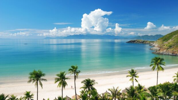 A peaceful beach scene with clear water and palm trees in Palawan, HD Desktop Wallpaper
