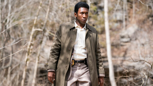 A serious man in a brown coat stands in a wooded area from True Detective Tv Series Wallpapers, HD Desktop Wallpaper