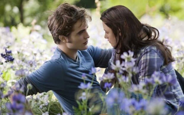 A couple from Twilight Movie having an intimate moment in a field of flowers, 2K Desktop Wallpaper