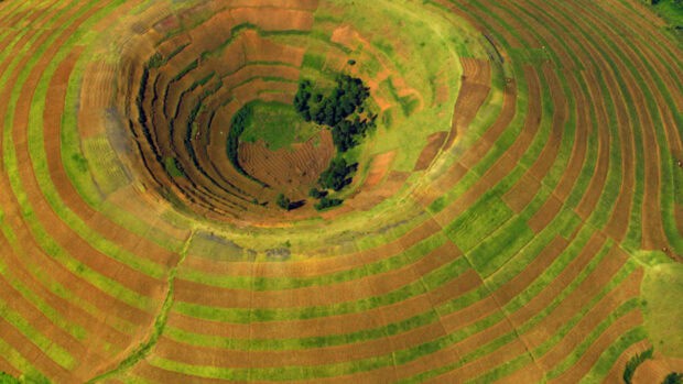 The aerial view shows lush farmland terraces in Uganda landscapes, HD Desktop Wallpaper