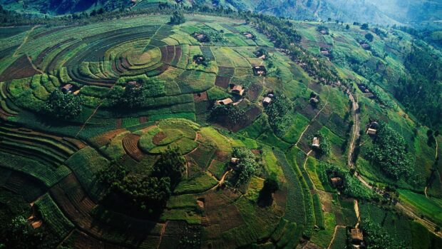 Aerial view of Uganda terraced farms and huts under sunlight, HD Desktop Wallpaper